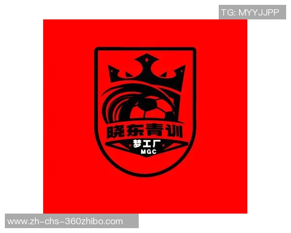 中国足球改革新征程:重塑青训体系与职业联赛发展路径探讨 中国足球改革新征程:重塑青训体系与职业联赛发展路径探讨